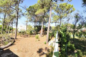 Propriedade de Golfe para venda em Nearest_Important_City1 ema12062