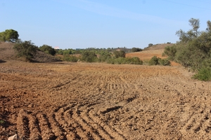Terrain à vendre à Sao Bartolomeu de Messines lsa14140