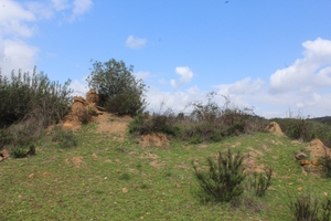 House for sale in Silves lsa14320