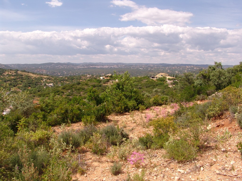 Propriété rurale à vendre à Estói (Estoi) sma9022